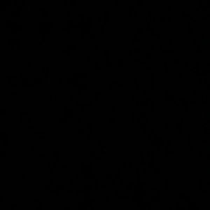 Meet your Posher, Valentino